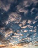 Анкета проститутки Виктория - метро Измайлово, возраст - 22